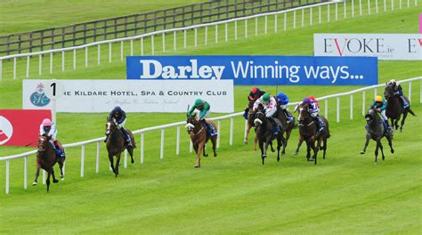 free horse racing tv streaming.